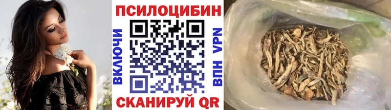 наркота  мориарти наркотические препараты  Галлюциногенные грибы Psilocybe  Любим 